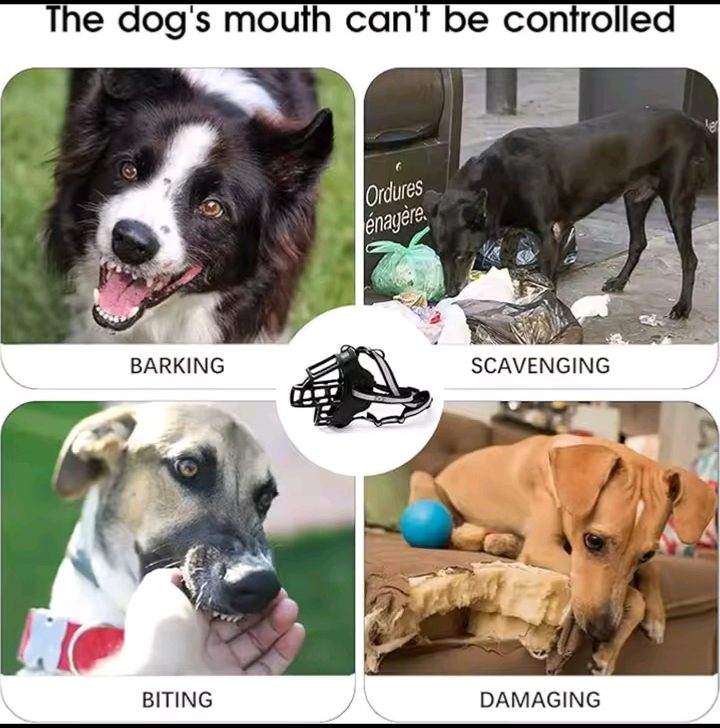 Dog Muzzle - Breathable Basket Muzzle with Reflective Strap