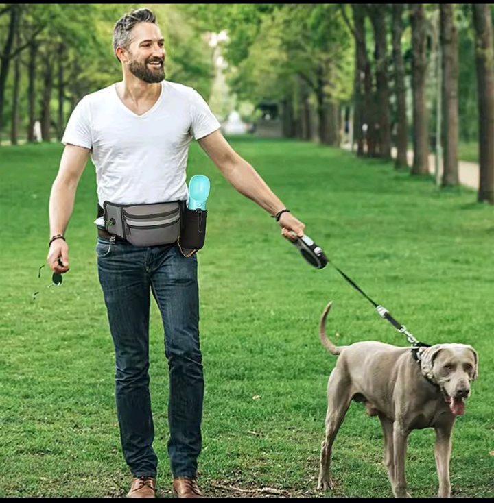 Dog Walking Bag with D-Ring Buckle