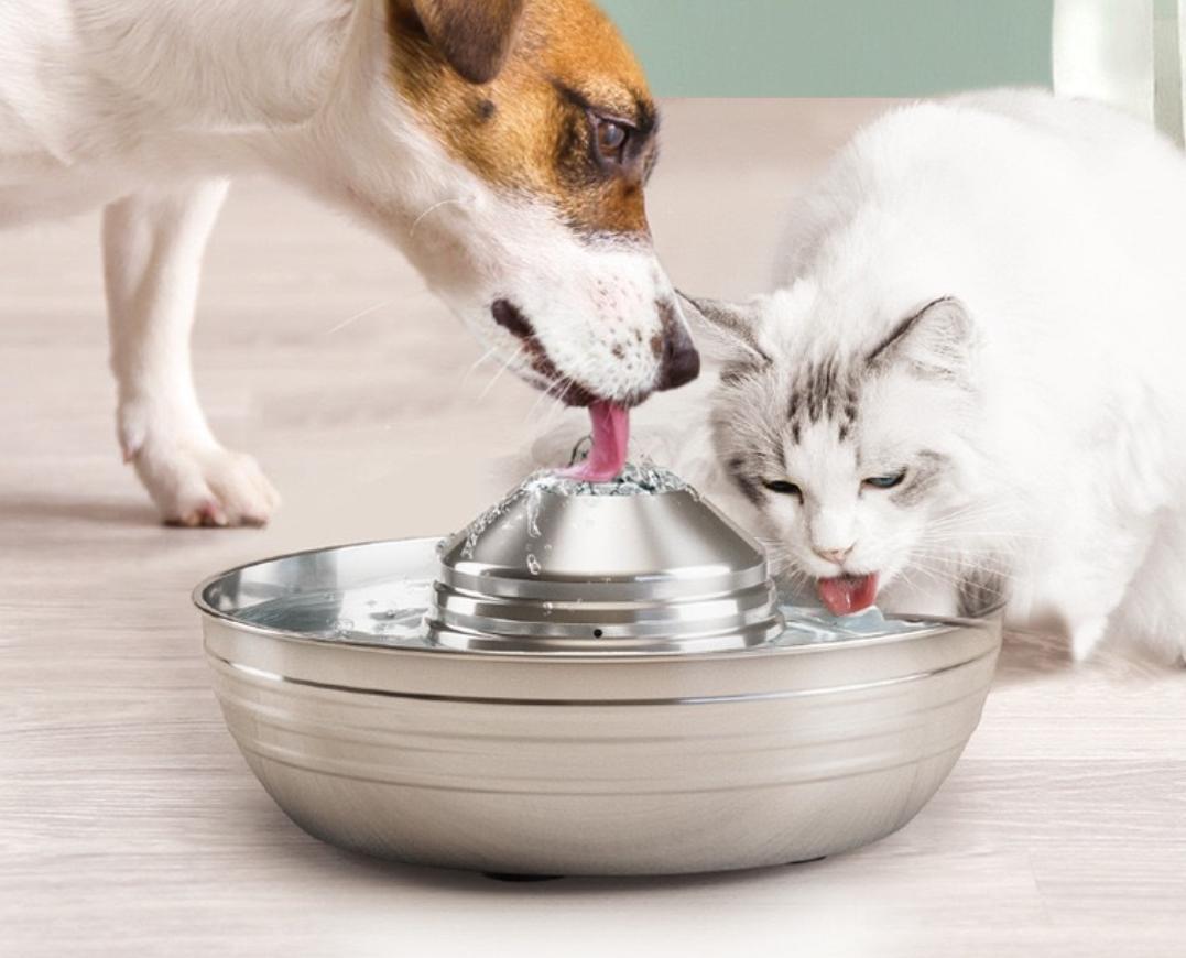 Stainless Steel Pet Water Fountain