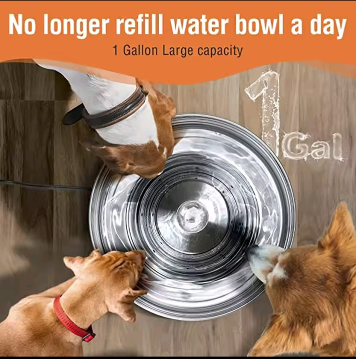 Stainless Steel Pet Water Fountain