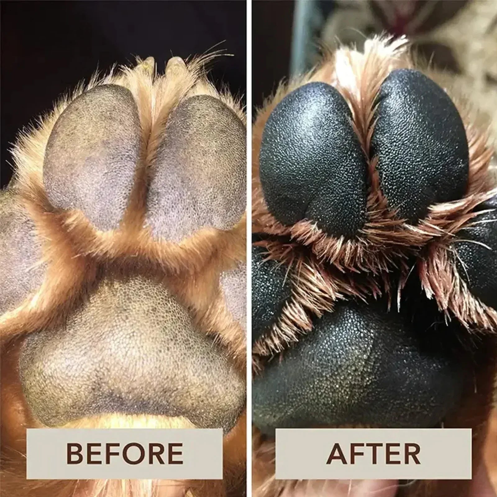 Pet Paw Cream - Moisturizing Balm for Dogs & Cats (30g)