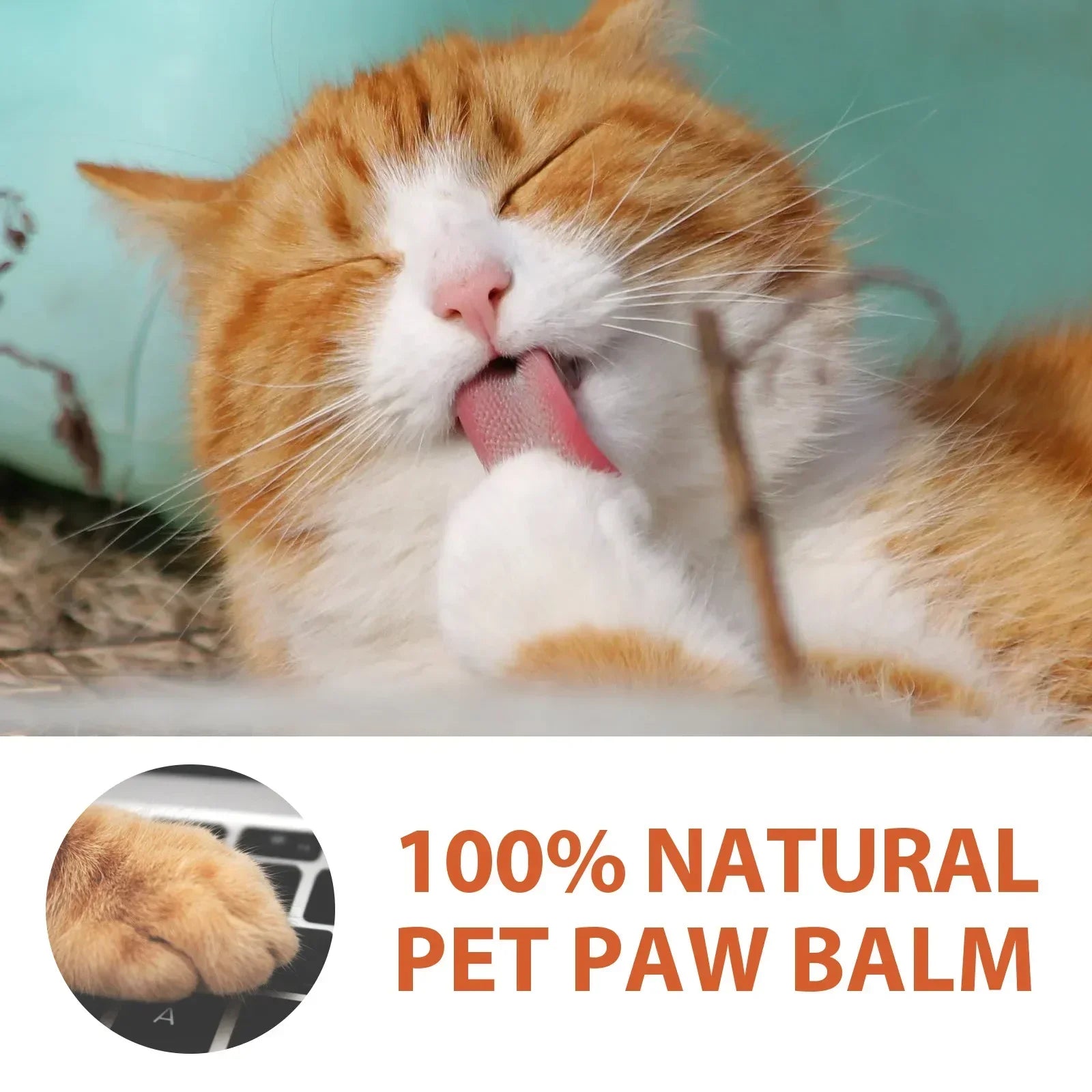 Pet Paw Cream - Moisturizing Balm for Dogs & Cats (30g)