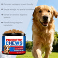 Dog Digestive Health Supplement - Soft Chews for Gut Support (200g)