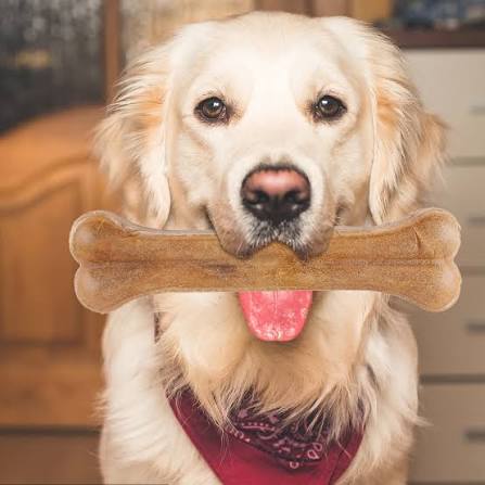 Dental Chews for Dogs - 3 Stick Bundle