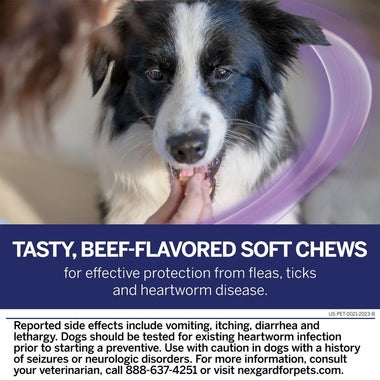 NexGard PLUS Chewables for Dogs - New